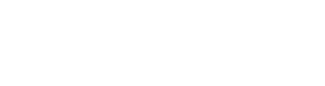 Ir a la página inicial